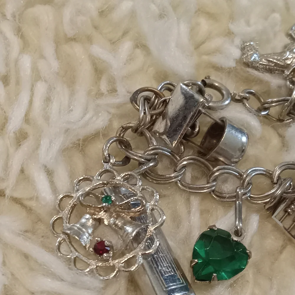 Silver Charm Bracelet - Picture 7 of 12